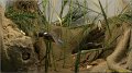 chateaudun120229_073 Musee